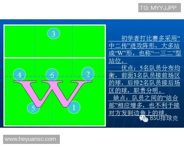 杭州排球队在精英赛中的节奏表现分析与战术探讨