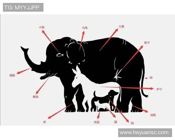 足球明星猜猜猜挑战你的眼力与知识快来一起玩吧